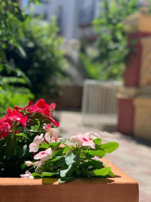 Palacete Del Porvenir Vil·la *